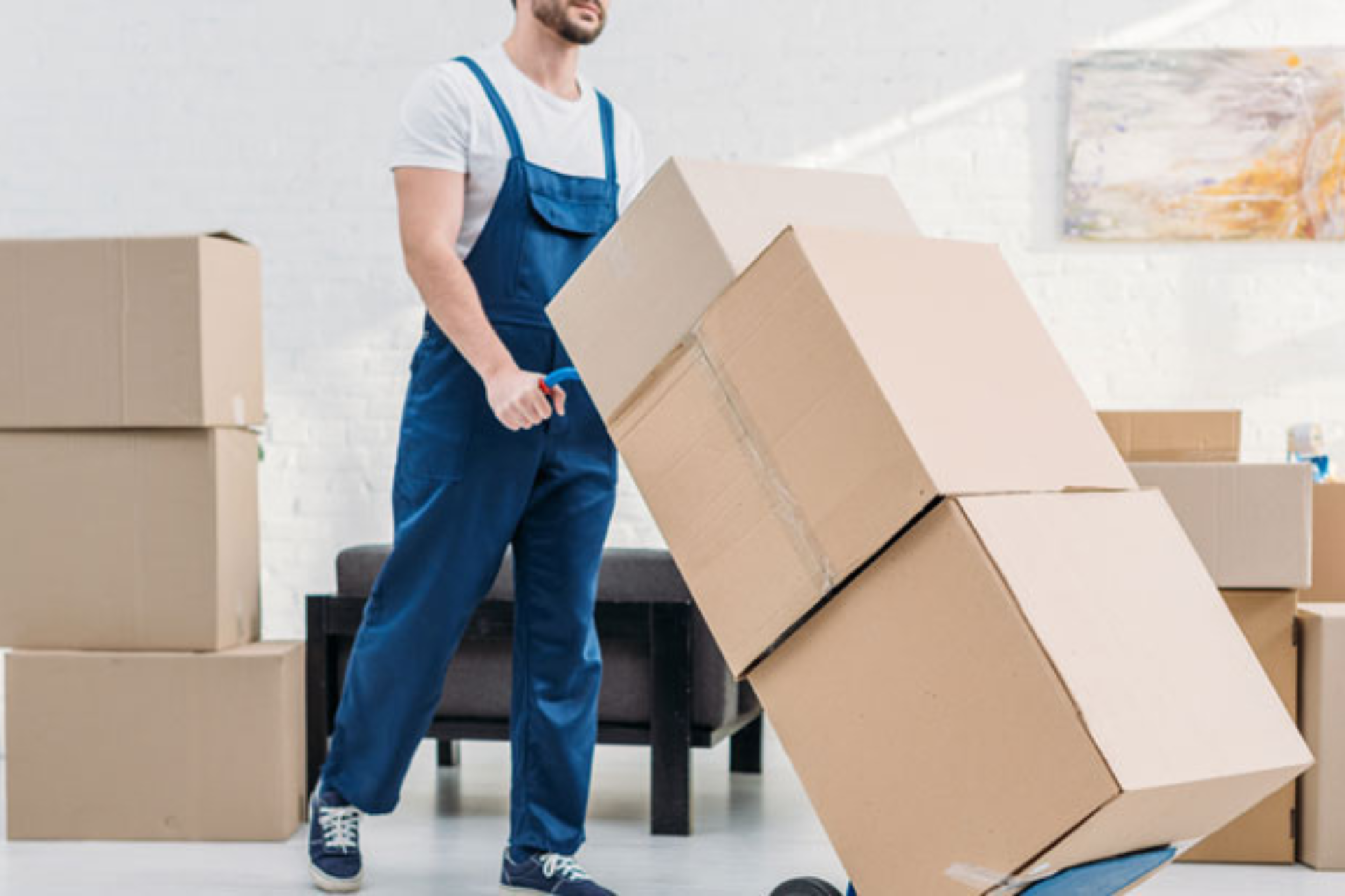 Top 7 Questions to Ask When Hiring a Professional Packers and Movers...